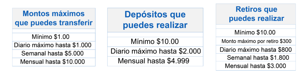 Descripción de la imagen