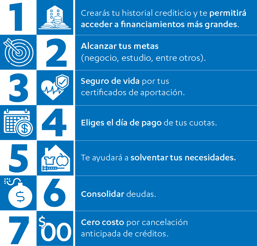 Descripción de la imagen